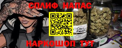 кокс Можга