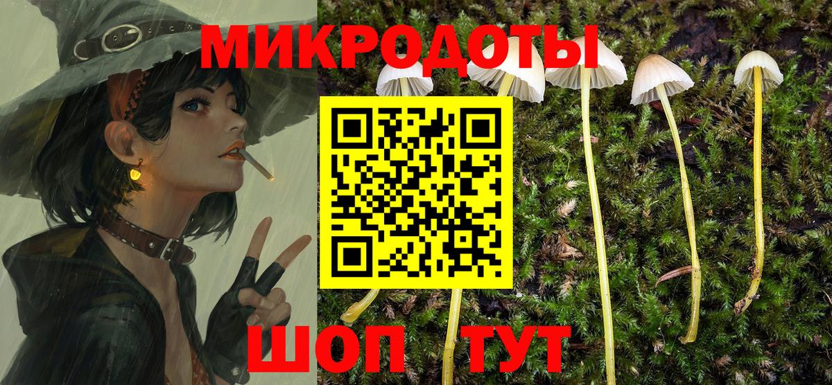 Псилоцибиновые грибы мухоморы Сосновый Бор