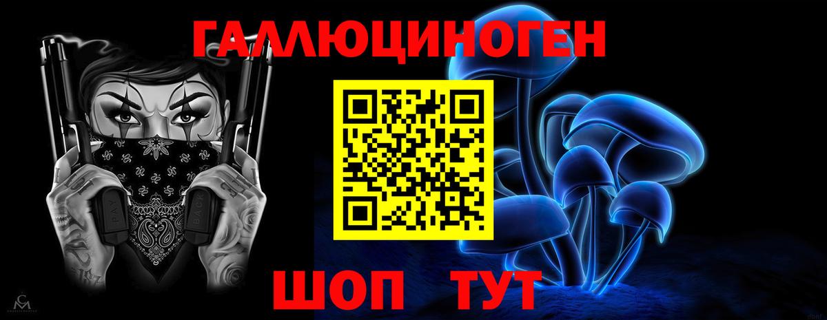 Сосновый Бор  Галлюциногенные грибы мухоморы  Вход с VPN 